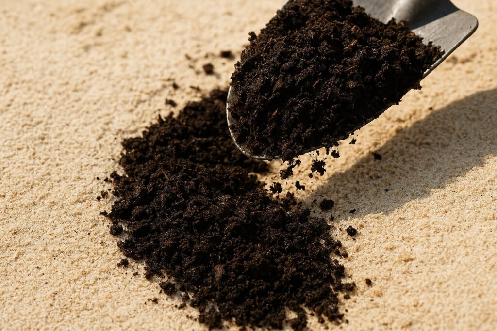 Compost Enriching Coastal Soil