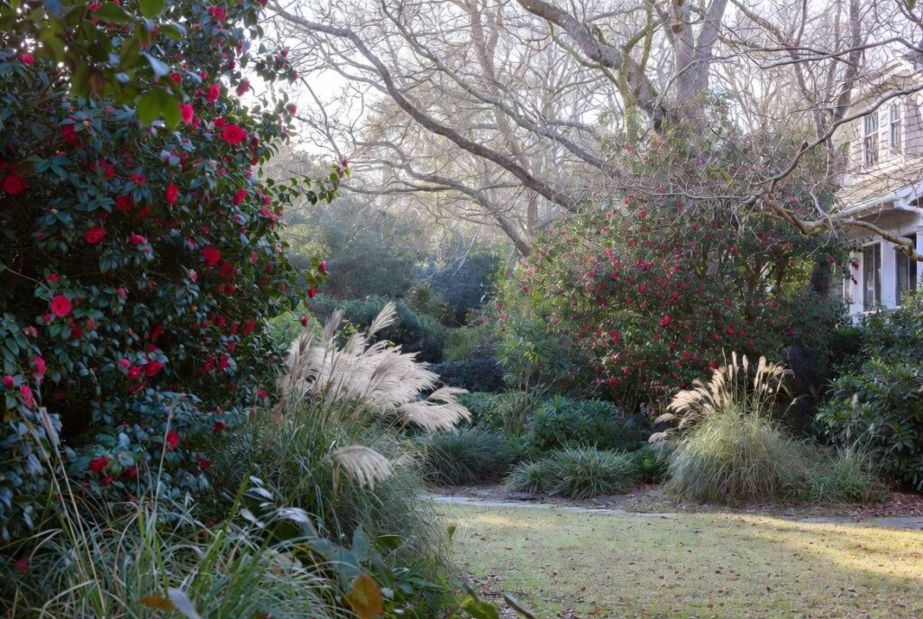Beautiful coastal Carolina garden