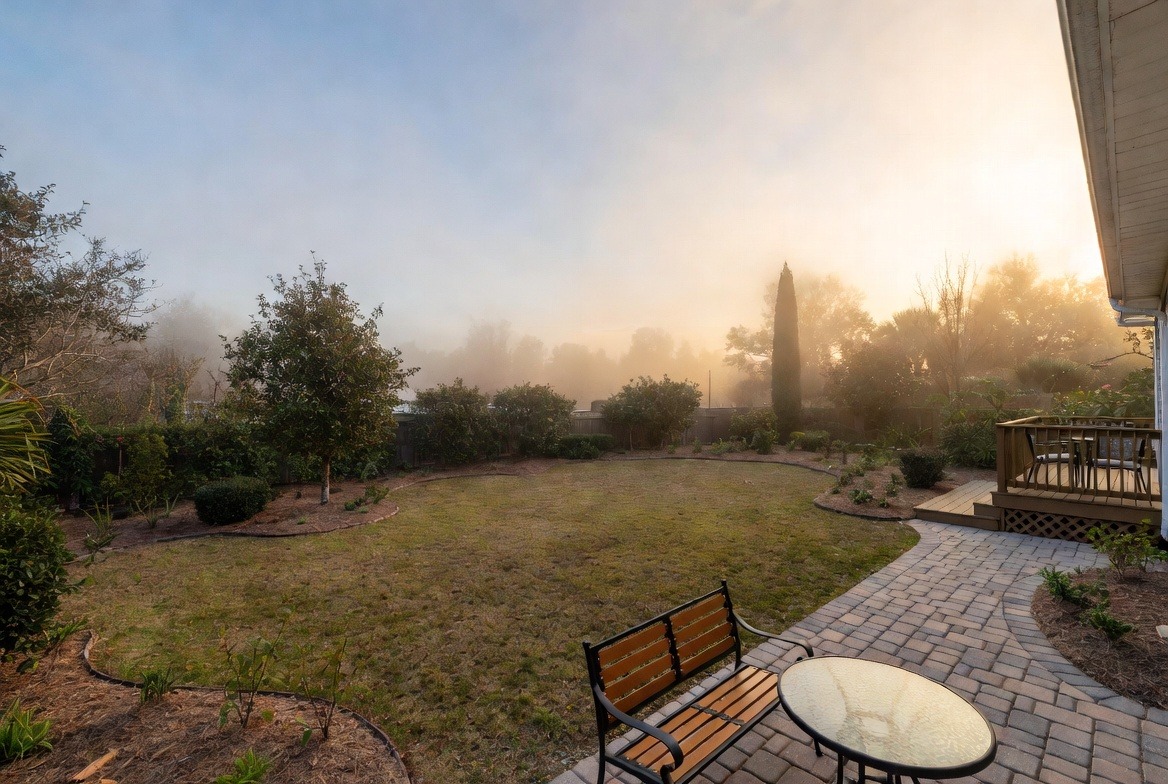 backyard in winter light